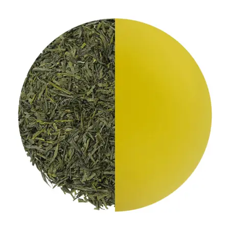 hurtownia herbaty zielona Japan Sencha Uchiyama